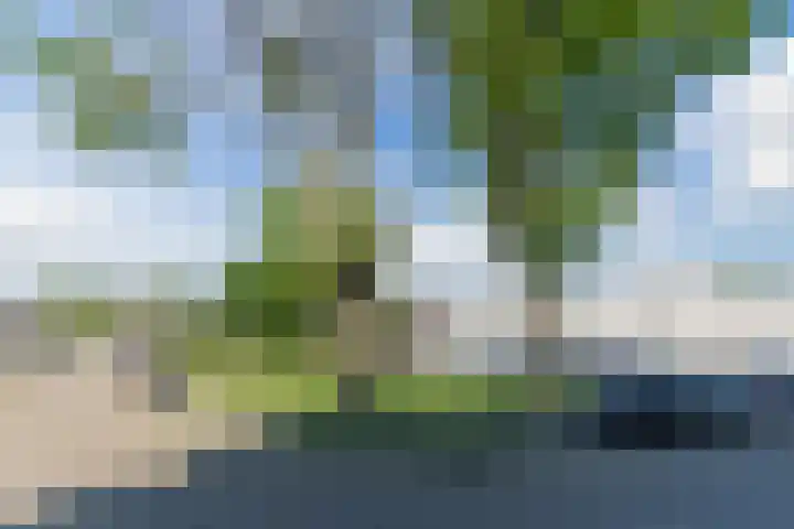 Nederlandplein 13 Eindhoven thumbnail 28