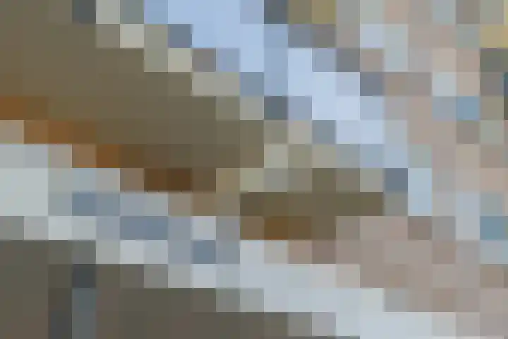 Nederlandplein 13 Eindhoven thumbnail 7