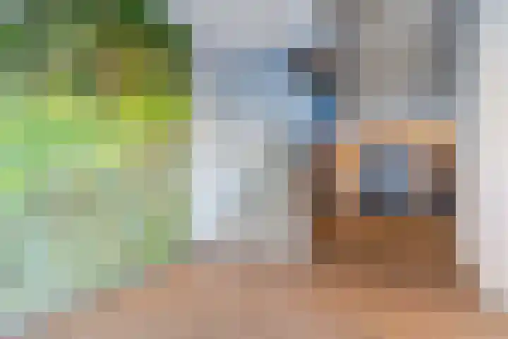 Nederlandplein 13 Eindhoven thumbnail 9