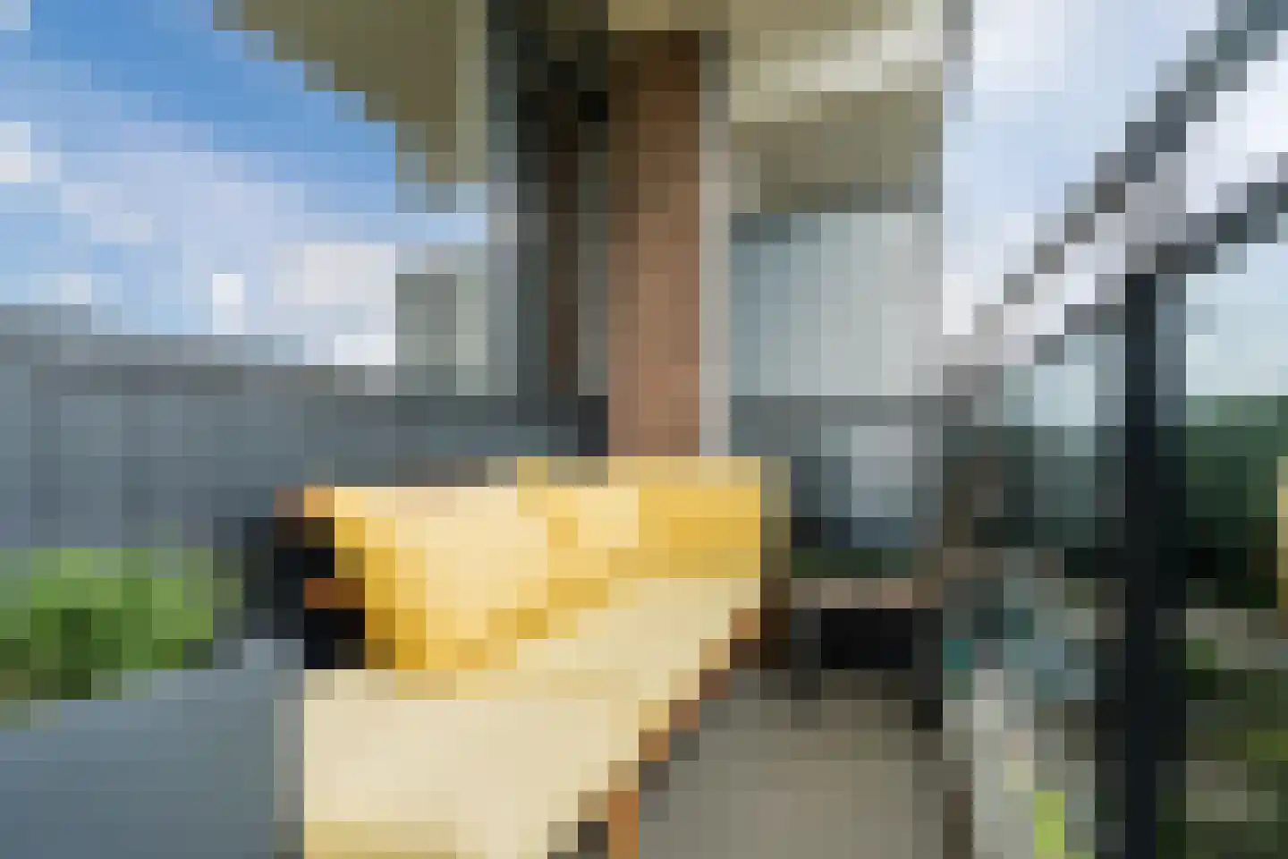 Nederlandplein 16 Eindhoven thumbnail 34