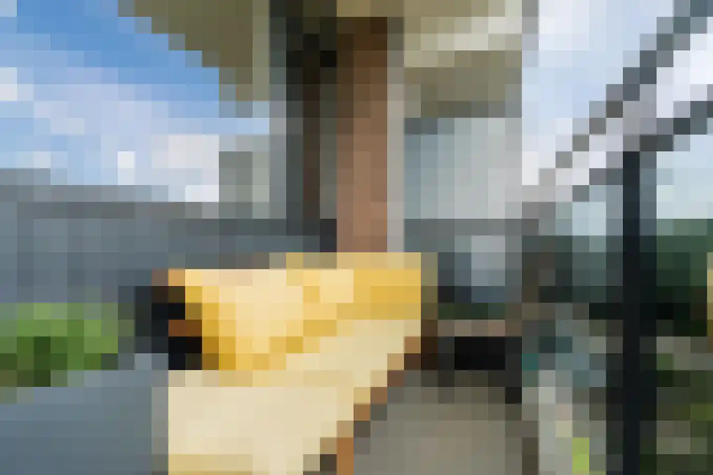 Nederlandplein 16 Eindhoven thumbnail 36