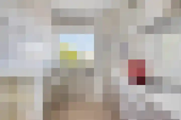 Nederlandplein 18 Eindhoven thumbnail 11