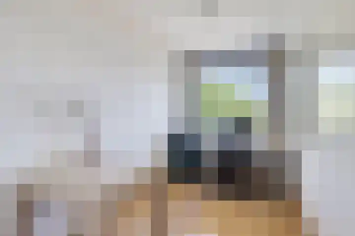 Nederlandplein 18 Eindhoven thumbnail 19