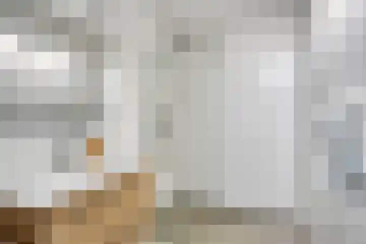 Nederlandplein 18 Eindhoven thumbnail 21