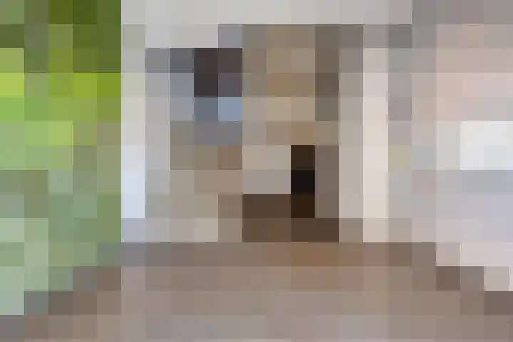 Nederlandplein 18 Eindhoven thumbnail 28