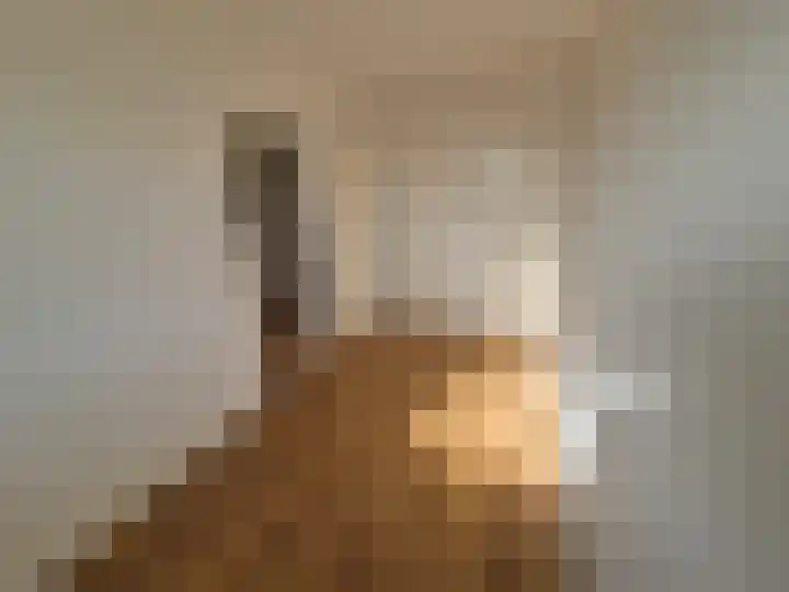 Nederlandplein 40 Eindhoven thumbnail 24