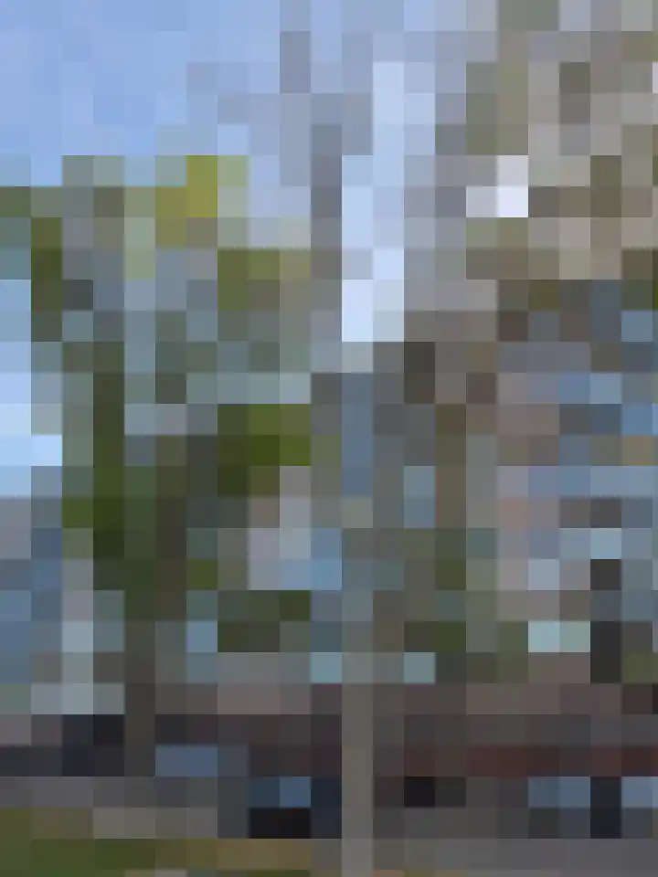 Nederlandplein 40 Eindhoven thumbnail 25