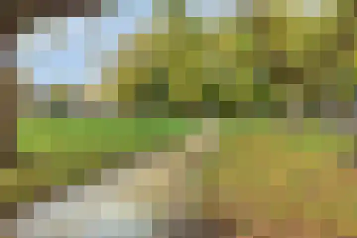 Nederlandplein 67 Eindhoven thumbnail 23