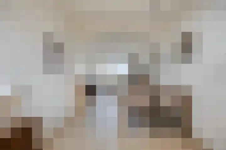 Nederlandplein 67 Eindhoven thumbnail 9