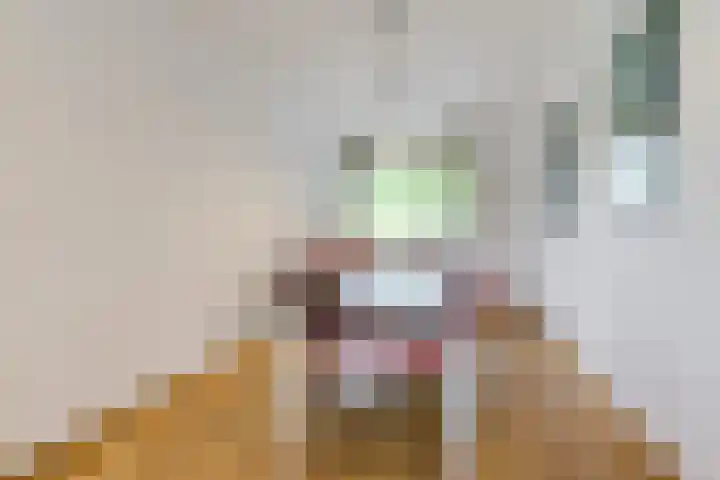 Nederlandplein 7 Eindhoven thumbnail 13