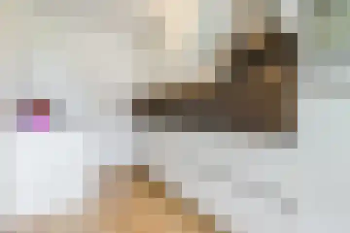 Nederlandplein 7 Eindhoven thumbnail 15