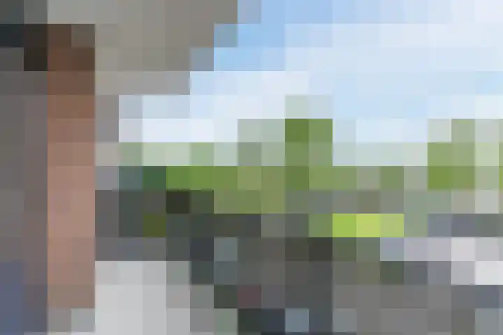 Nederlandplein 7 Eindhoven thumbnail 28