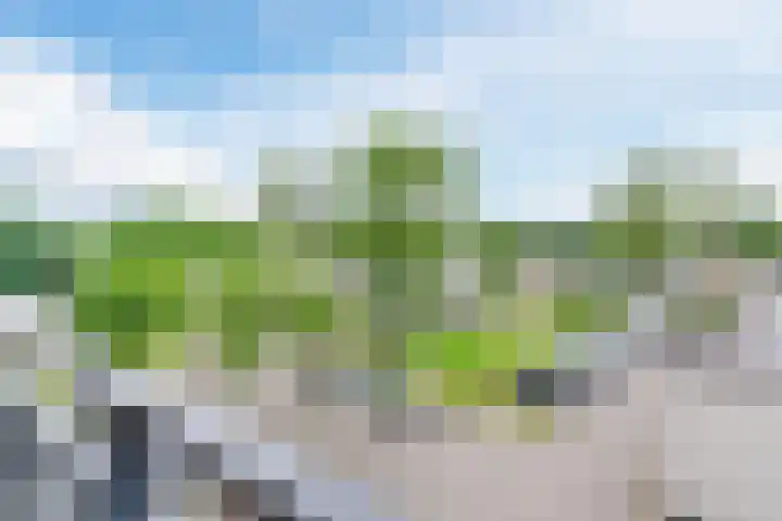 Nederlandplein 7 Eindhoven thumbnail 29