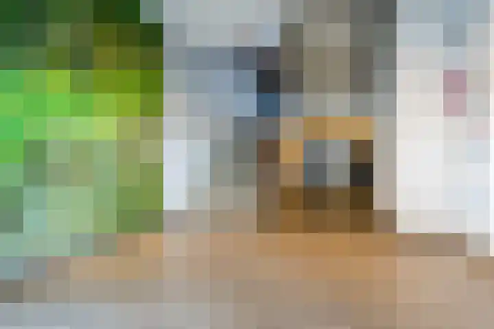 Nederlandplein 7 Eindhoven thumbnail 7