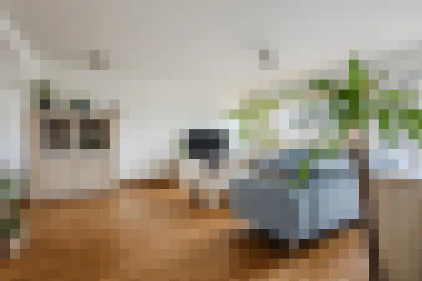 Nederlandplein 74 Eindhoven thumbnail 11