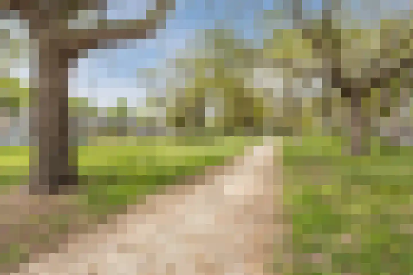 Nederlandplein 74 Eindhoven thumbnail 32