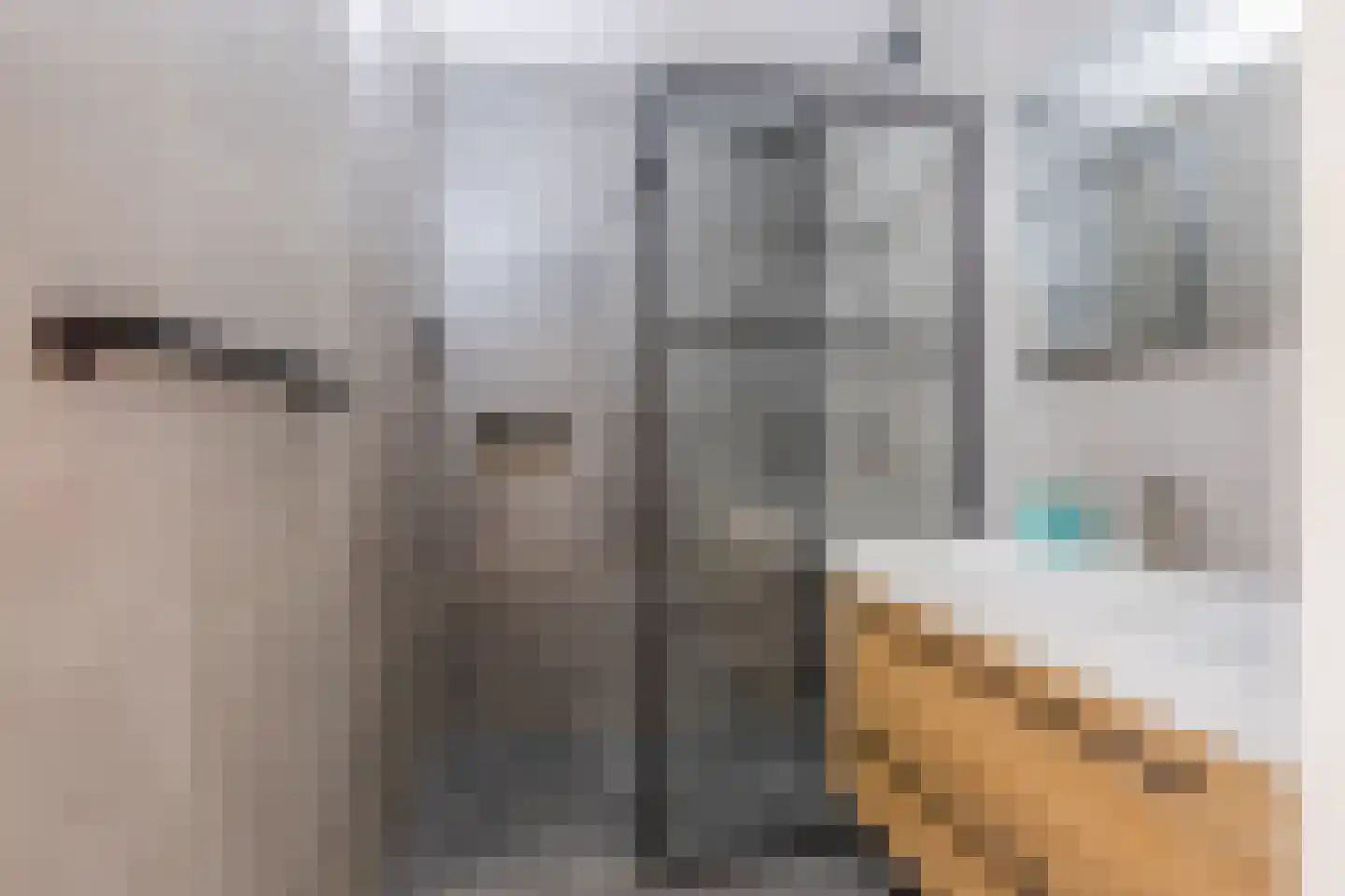 Nederlandplein 74 Eindhoven thumbnail 4
