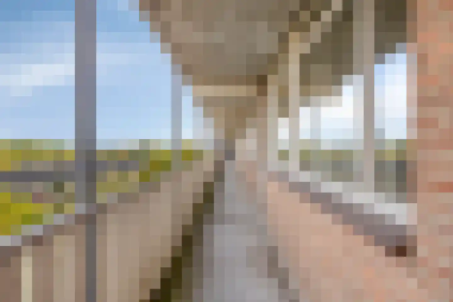 Nederlandplein 77 Eindhoven thumbnail 14