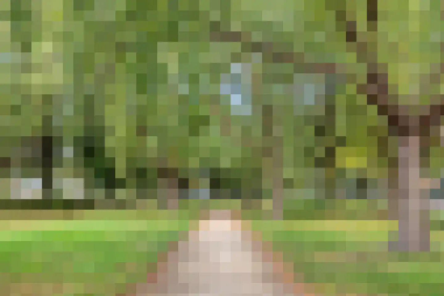 Nederlandplein 77 Eindhoven thumbnail 44