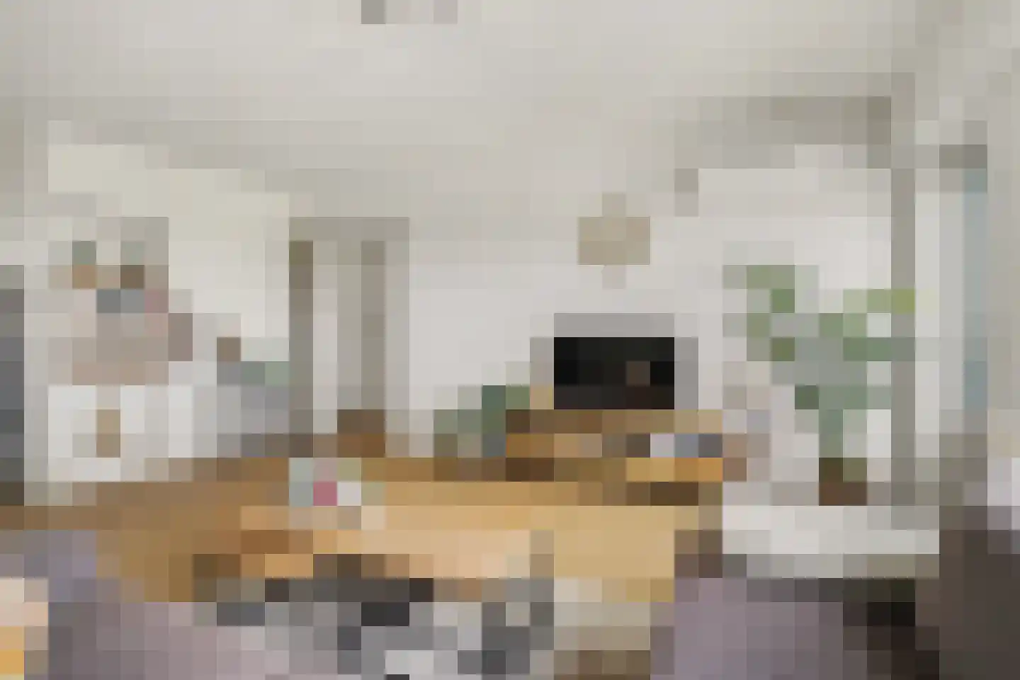Nederlandplein 87 Eindhoven thumbnail 16