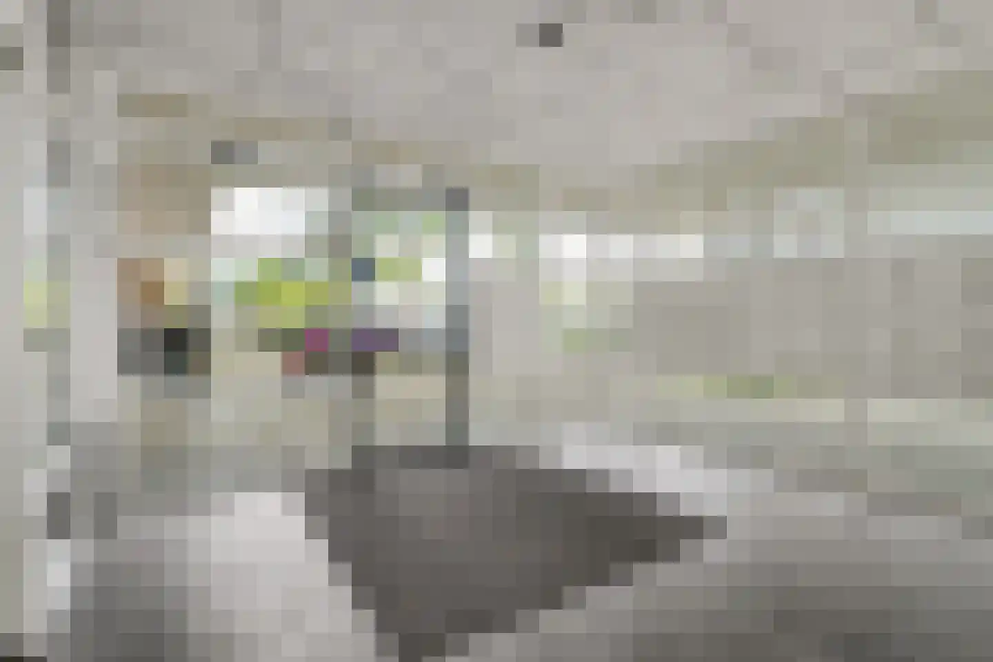 Nederlandplein 87 Eindhoven thumbnail 7