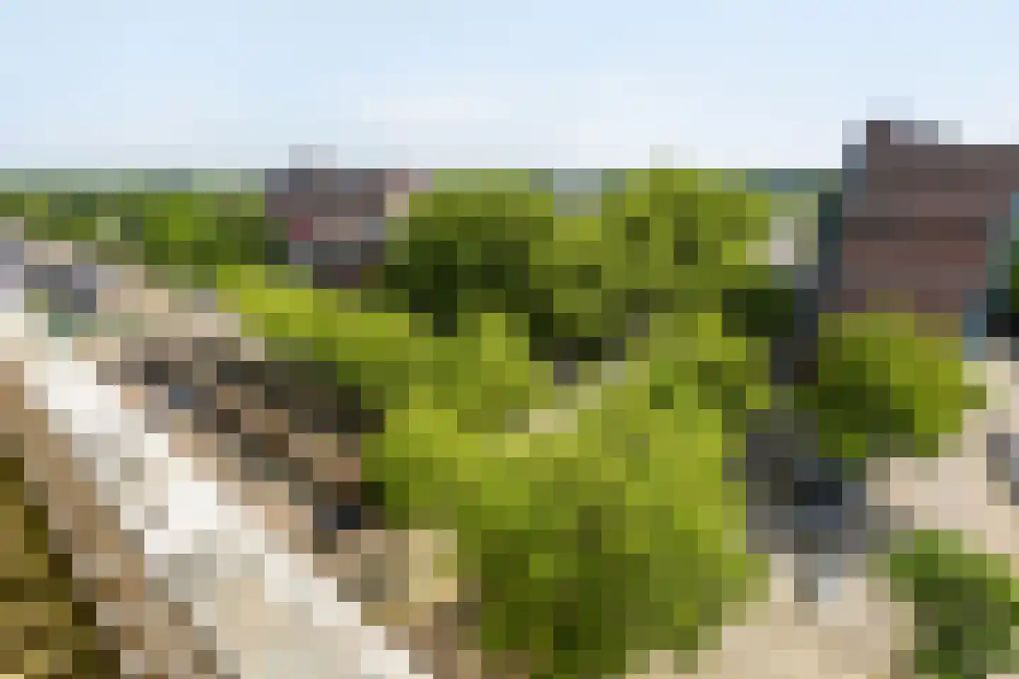 Nederlandplein 89 Eindhoven thumbnail 12