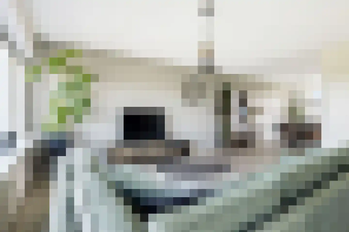 Nederlandplein 89 Eindhoven thumbnail 17