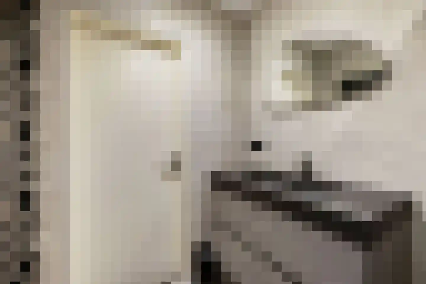 Nederlandplein 89 Eindhoven thumbnail 33