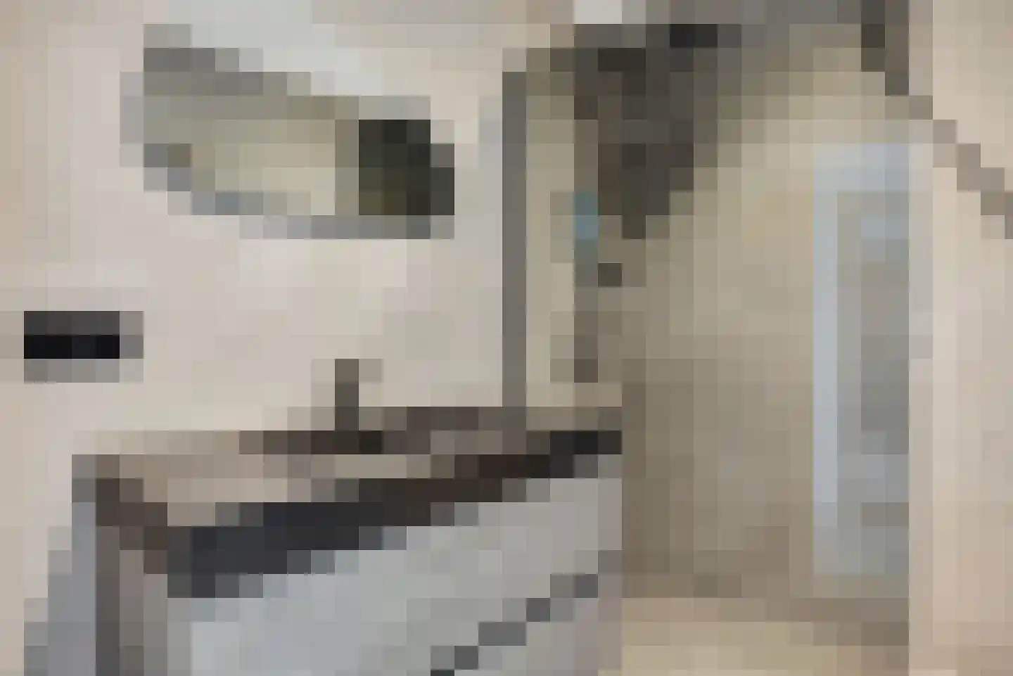 Nederlandplein 89 Eindhoven thumbnail 34