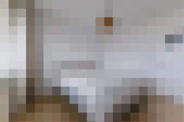 Nederlandplein 90 Eindhoven thumbnail 18