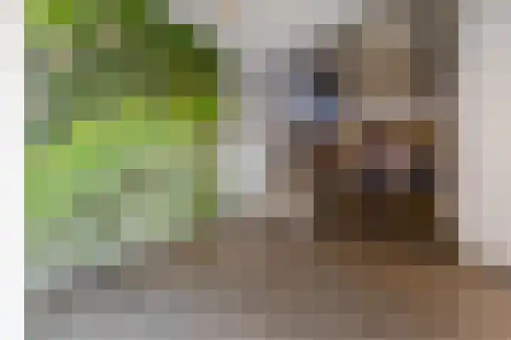 Nederlandplein 90 Eindhoven thumbnail 32