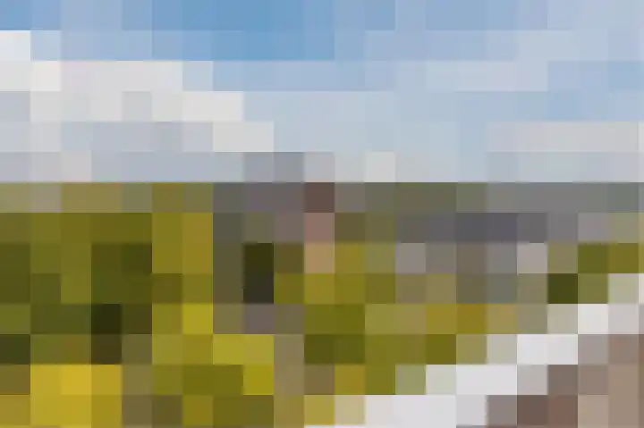Nederlandplein 90 Eindhoven thumbnail 38