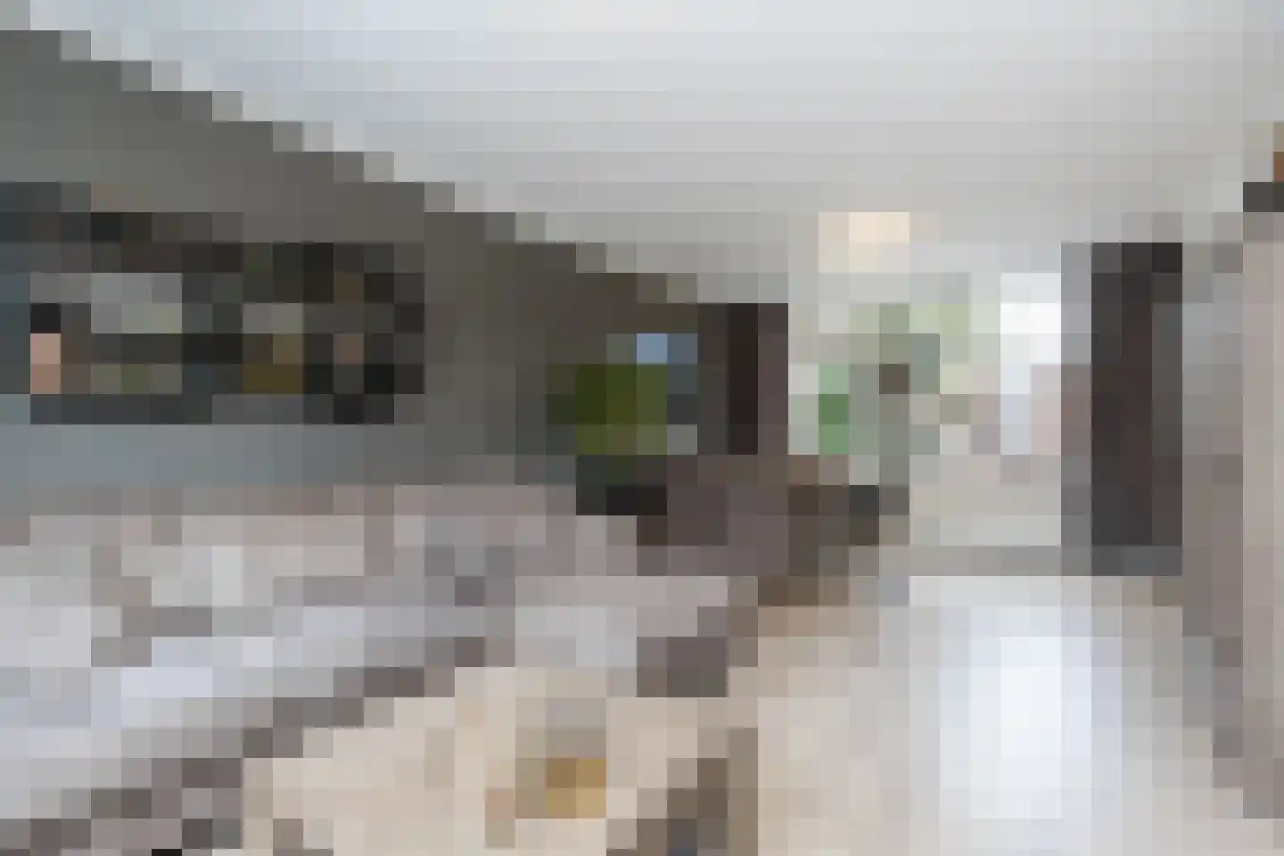 Nederlandstraat 16 Kerkdriel thumbnail 13