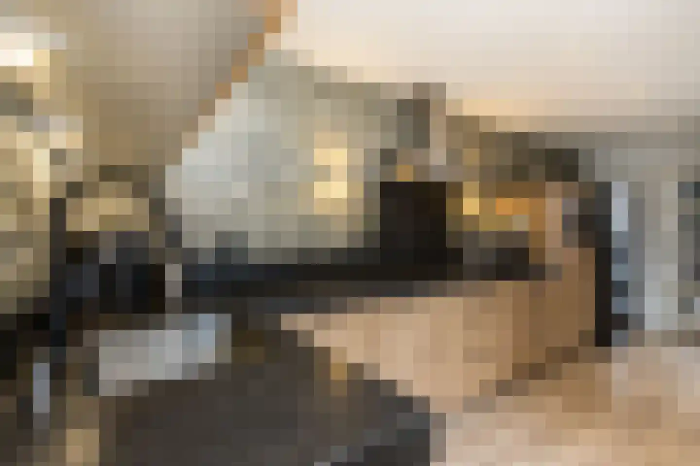 Nederlandstraat 16 Kerkdriel thumbnail 18