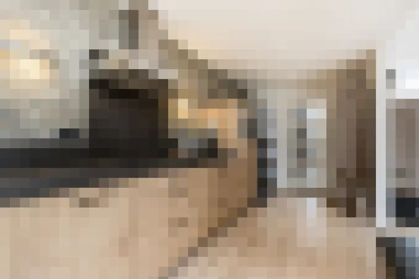 Nederlandstraat 16 Kerkdriel thumbnail 19
