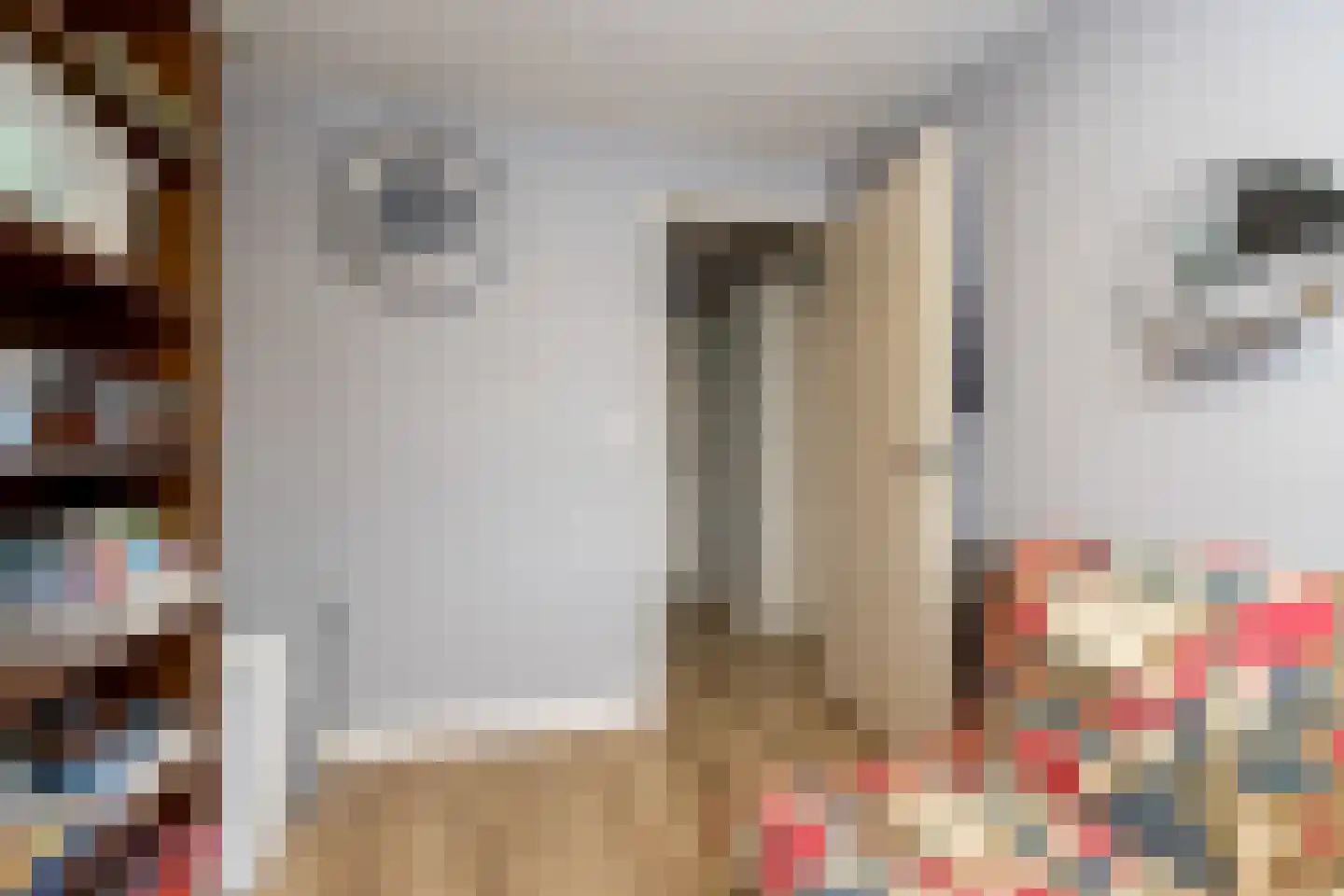 Nederlandstraat 16 Kerkdriel thumbnail 29