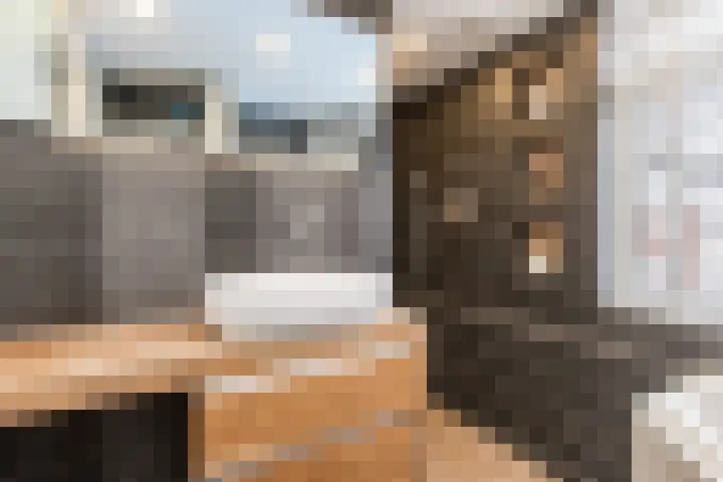 Nederlandstraat 16 Kerkdriel thumbnail 31