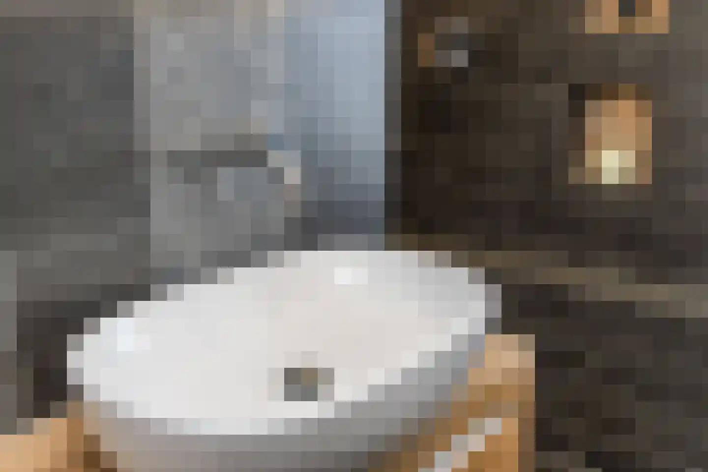 Nederlandstraat 16 Kerkdriel thumbnail 35