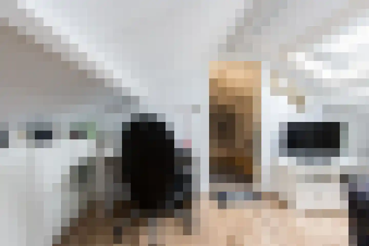 Nederlandstraat 16 Kerkdriel thumbnail 37