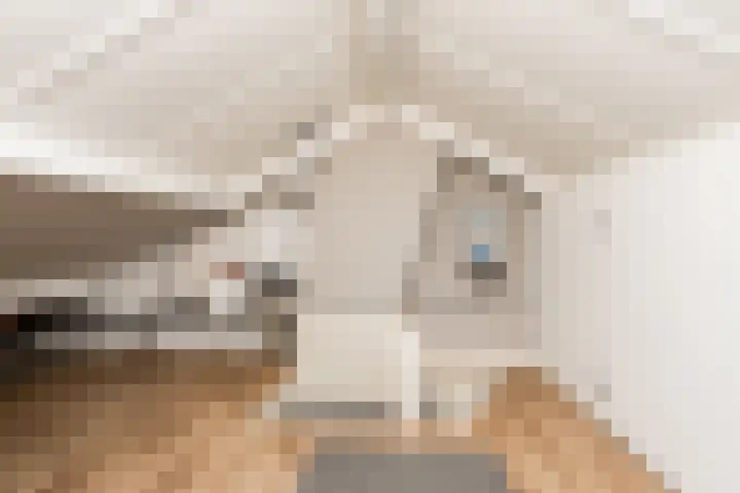 Nederlandstraat 16 Kerkdriel thumbnail 38