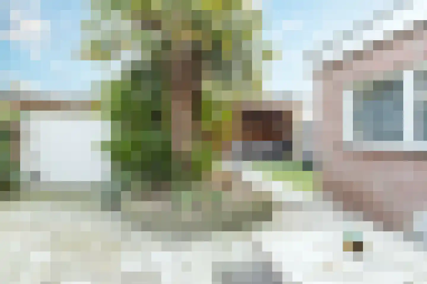 Nederlandstraat 16 Kerkdriel thumbnail 47
