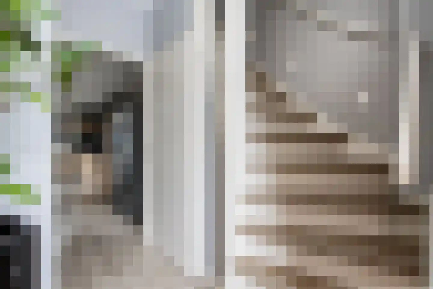 Nederlandstraat 16 Kerkdriel thumbnail 7