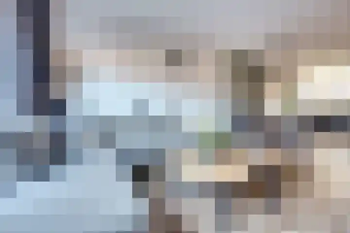 Nederlandstraat 3 De Lier thumbnail 10