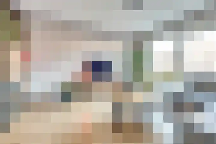 Nederlandstraat 3 De Lier thumbnail 11