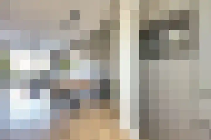 Nederlandstraat 3 De Lier thumbnail 12