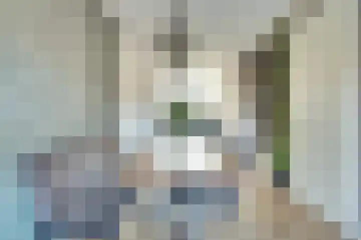 Nederlandstraat 3 De Lier thumbnail 13