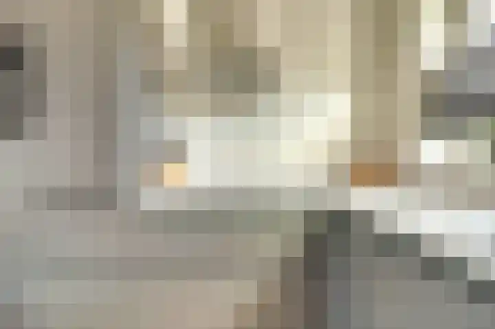 Nederlandstraat 3 De Lier thumbnail 14