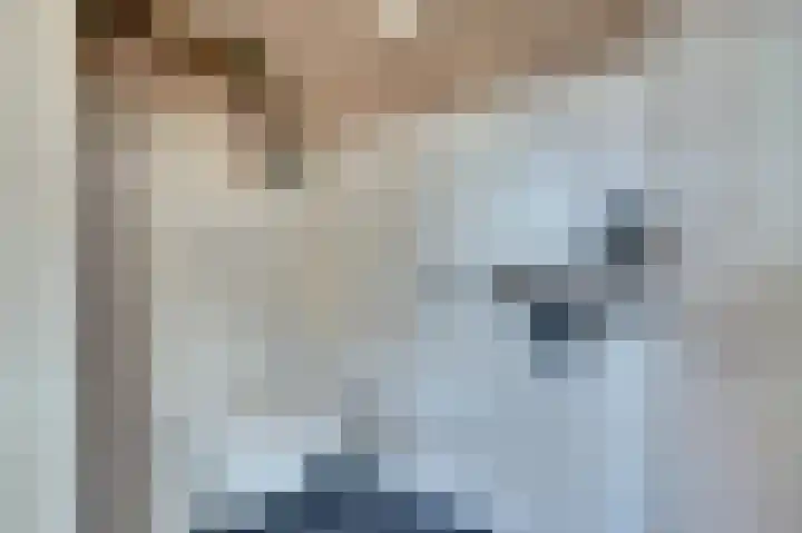 Nederlandstraat 3 De Lier thumbnail 17