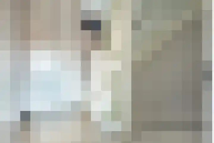 Nederlandstraat 3 De Lier thumbnail 18