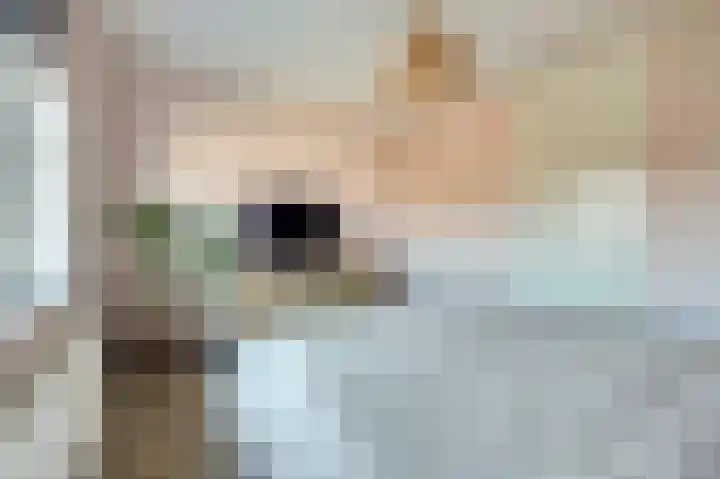 Nederlandstraat 3 De Lier thumbnail 20